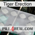 Tiger Erection 16